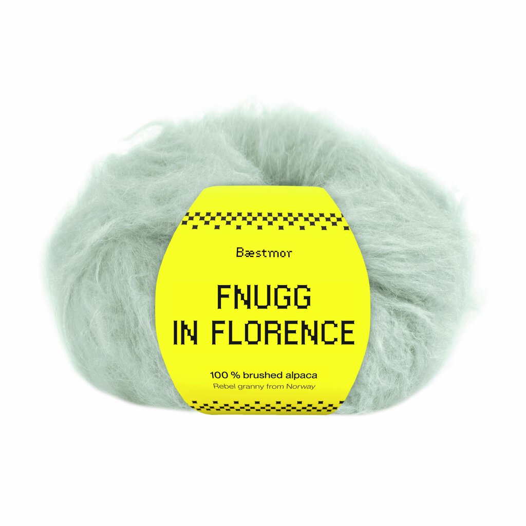Fnugg in Florence
